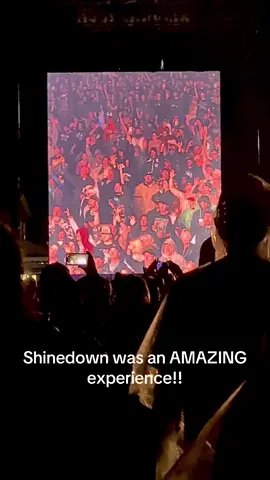 Saw them for the first time! This brought tears to my eyes! A phenomenal experience I will never forget. @Shinedown @Rocklahoma Music Festival 