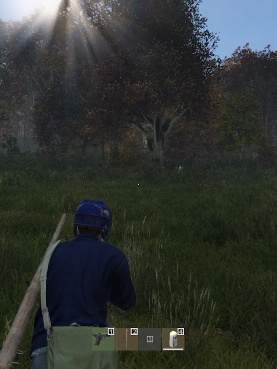 Cuando la comida te obliga a disparar y reverlar tu posicion jajaja 📱🖥️🟣 #dayz #cazar #tiktoklivestar #tiktokviral #supervivencia