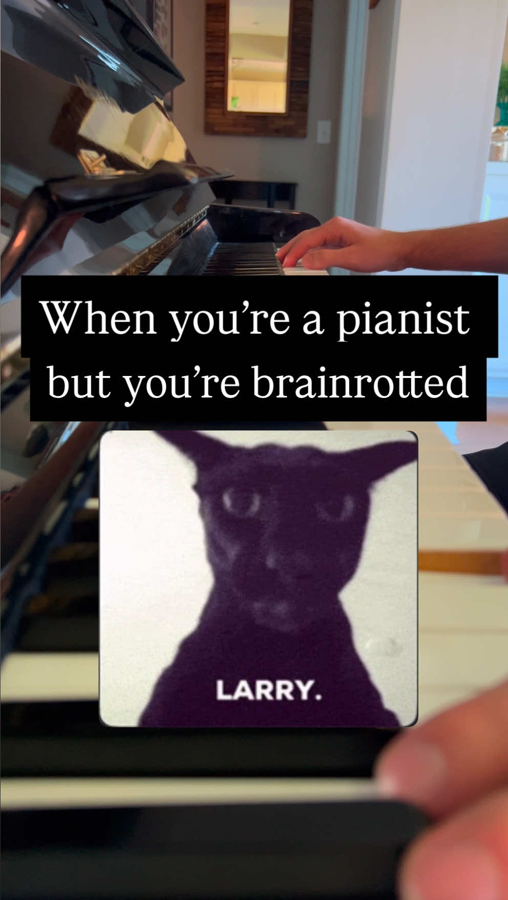 And to my utter horrors it was…..Evil Larry 😦 #meme #larry #evillarry #cat #piano 