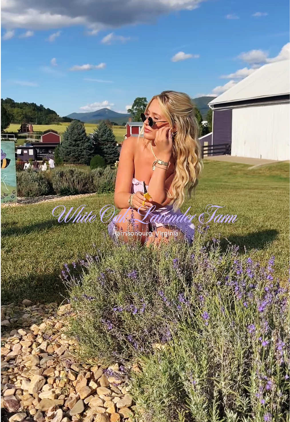 #CapCut #CapCut absolutely loved this gorgeous place, thank you so much for inviting me, I will be back💜 USE CODE “DIANA15” at your next visit!!☺️ #lavenderfarm #lavender #whiteoakandlavender  @White Oak Lavender 