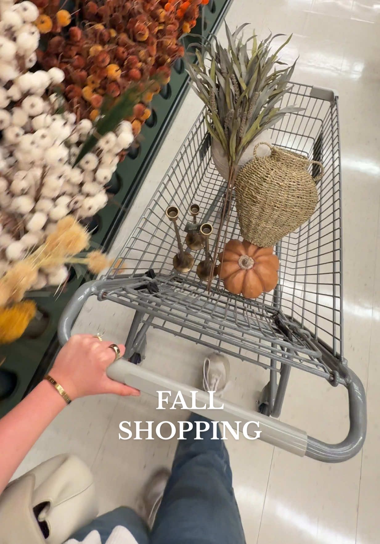 all the girlies were out shopping today 🍁 #bermonths #falltime #falldecorshopping #hobbylobby 