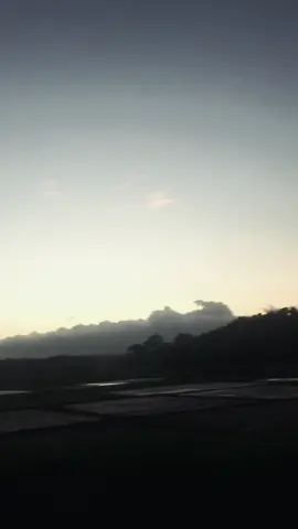 Dalemm nya wi #fu  #infobalap  #jokideragg  #fyppppppppppppppppppppppp 