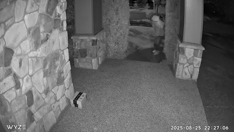 **🚨 Thief Caught in 4K on  PAN V4 🚨** Check out this wild clip 👇 (package thief caught on cam 😳) 💥We just dropped our first-ever 4K camera, the **NEW Wyze Cam Pan V4.** This is THE drop everyone’s talking about. Perfect for story-driven, real-life content that hooks viewers in seconds. Here's why you will love it: 🎥 4K clarity (see everything) –  Our first-ever 4K camera for crystal-clear detail 🌙 Insane color night vision – catch action even in the dark 🤖 AI detection that actually works – smarter alerts, less noise 🔊 Stronger 2-way audio – loud, clear, and more reliable #wyze #panv4 #packagetheif 