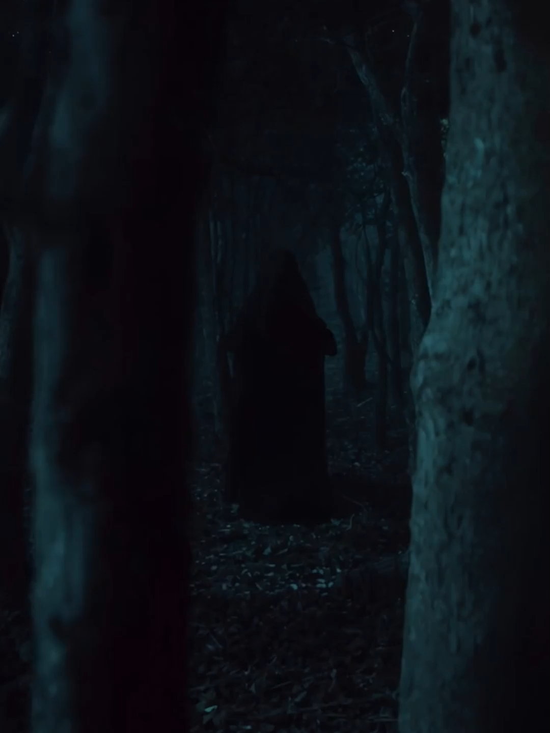 De noche, entre árboles y neblina… algo se mueve donde nadie debería estar. 😨 #bosque #terrorifico #paranormal #ia#Misterio #Leyendas #FenómenoParanormal