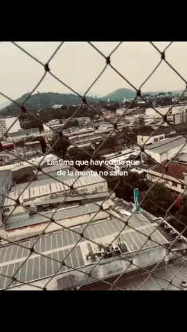 #canserbero #Delavidacomounapelicula #comedia #ficcion #tragedia 