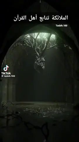 #القرأن الكريم♥️🌟نورالحياة وتيسر الأمور ♥️#