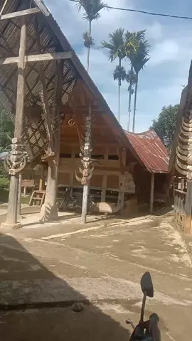 #rumahadat #mamasa #vidio#ft 