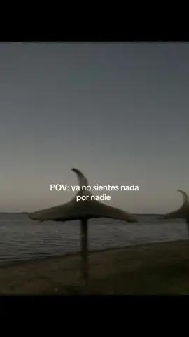 🫠 #parati #fyp #viral #foryou #humor 