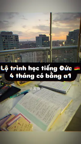 Lộ trình học tiếng đức cho người mới bắt đầu 🇩🇪 #deutschland #deutsch #Ausbildung #duhocsinh #duhocngheduc🇩🇪🇩🇪🇩🇪🇩🇪 