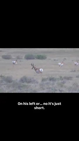 Looking for the right one! #antelope #archeryhunting 