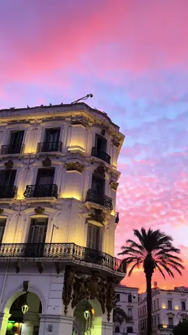 Algiers Sunset 🌇 #algeria #alger #🇩🇿 #sunset #fyp @🦉 