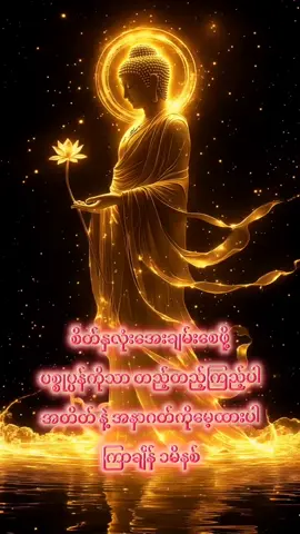 💚စိတ်နှလုံးငြိမ်းအေးစေရန်💚#ကိုယ့်အကြောင်းသာကိုစဥ်းစားပါ #သစ္စာရွှေစည်ဆရာတော်အရှင်ဥတ္တမ၏တရားတော် 