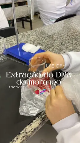 Extração do DNA do morango🍓🧬 gostaram? #foryou #viral #nutrivlog #labday 