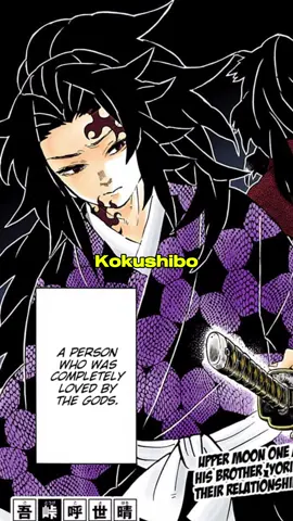 Michikatsu the twin brother of Yoriichi | Demon Slayer: Infinity Castle Arc Manga Explained | Kimetsu no Yaiba Chapter 177 part 1 [Spoiler Alert] ⚠️ #KimetsunoYaiba #demonslayer #michikatsutsugikuni #muzan #yoriichi #kokushibo 