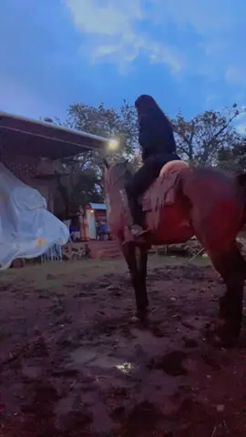Llegó una chula ranchera 😌✨ Lo q’más amo hacer en el rancho 😮‍💨 #jalisco 
