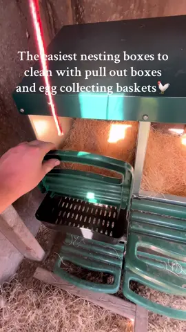 The easiest nesting boxes that my chickens love 💕 🐓✨#chickens #chickencoop #nestingboxes #eggs 