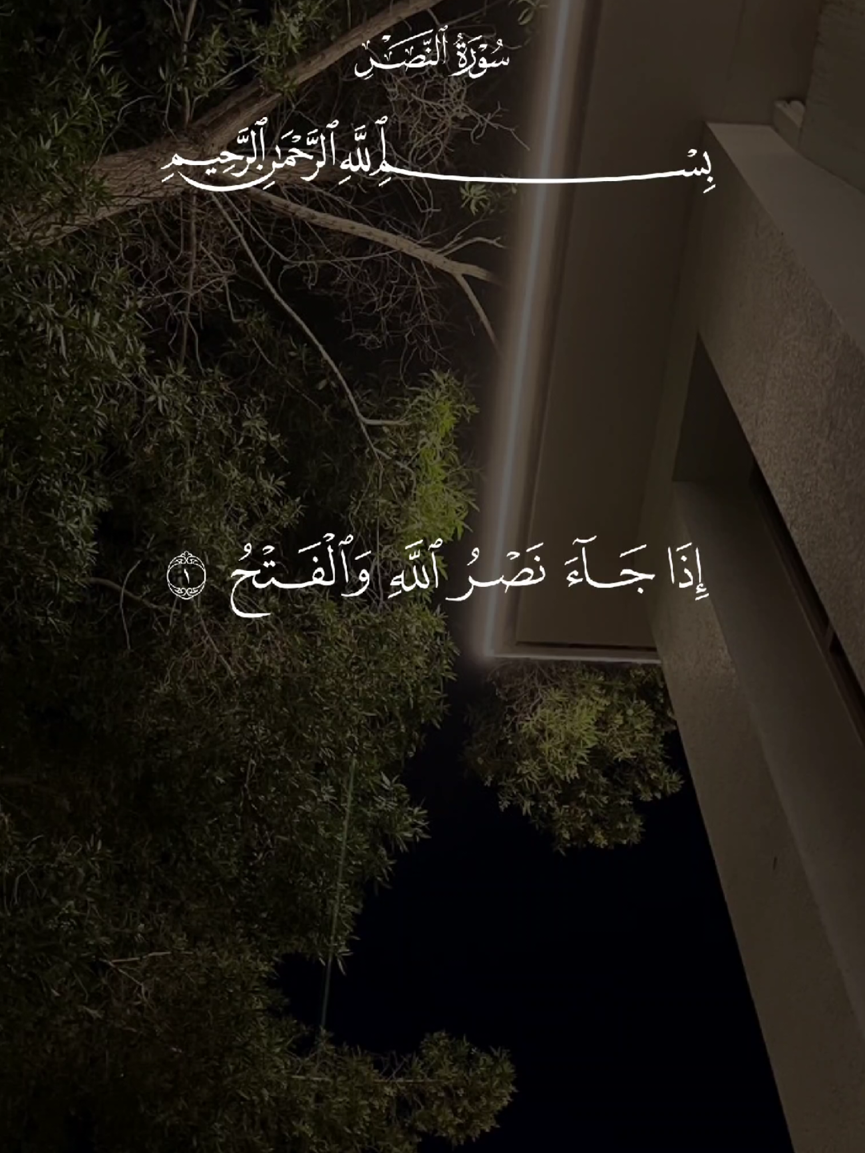 #قران #quran #قران_كريم #Allah #اللهم_صلي_على_نبينا_محمد 