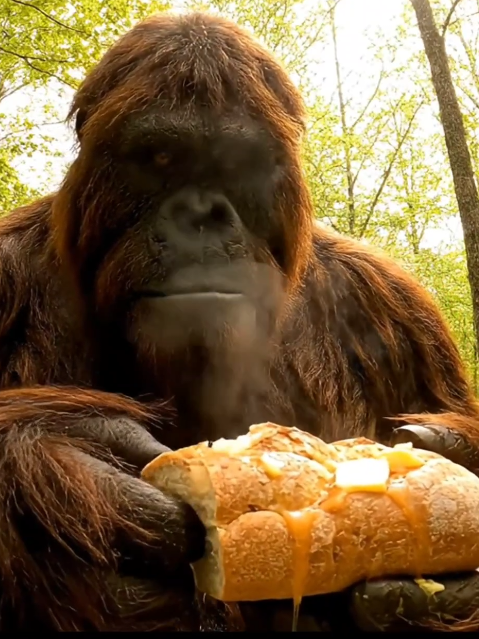 Bigfoot Vlog 58 How to make Honey butter bread 🍞bin the woods! #bigfoot #bigfootisreal #Vlog #Outdoors #bigfootvlog 