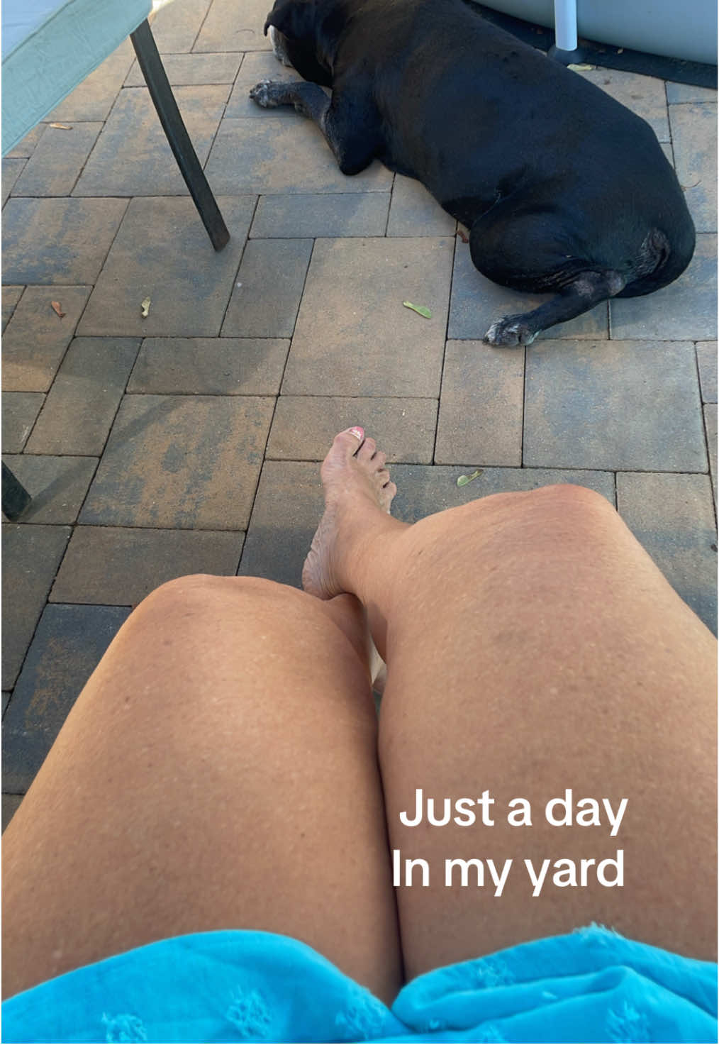 Just a day #myyard #story #thighs #enjoylife #pitbull 