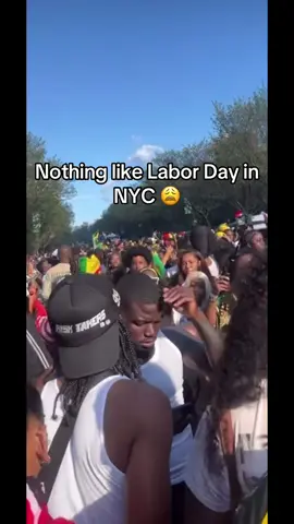 Rep your flag in the comments 🫶🏾 I’m Dominican for the day 😂💯🇩🇴 #fyp #laborday #nyc #parade 