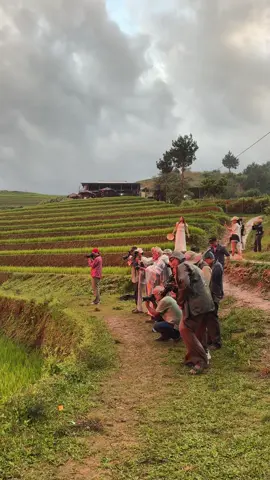 Hoàng hôn chiu quá #mucangchai #achutourguide #xuhuong #mongngua 