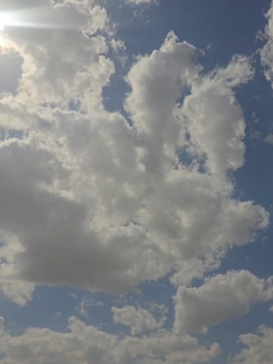 #نبينا_محمد_صلى_الله_عليه_وسلم #فاطمة_الزهراء #لامام_علي_ابن_ابي_طالب #لامام_الحسين_عليه_السلام #شيعة 