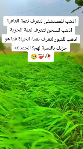 #creatorsearchinsights  #اقتباسات_عبارات_خواطر 