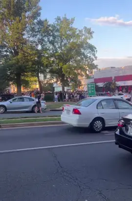 Crowd