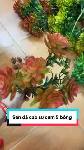 Cụm sen đá cao su cao cấp cụm 5 bông #sendagia #sendacamlanhodiep #cachcamlanhodiepgia #hoalanhodiepcaosu #senda