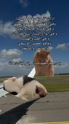 صحاك الشوق اكيد #MemeCut #MemeCut #MemeCut   #Meme #MemeCut 