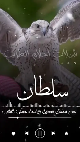 سلامي على سلطان ولافيه احتزم  شيله باسم سلطان جديد  اخوي وذراعي الايمن ونبراسي  شيله باسم أخوي جديد امحمد اليا حضر صاب الخصوم  شيله باسم محمد جديد  يامحمد يالفخر يالوجيه ابن الوجيه  شيله باسم محمد جديد  مرحبا يا نايف المطنوخ  شيله باسم نايف جديد وين قالوا العز ويش اسمه قلنا محمد  شيله باسم محمد جديد  امحمد اليا حضر صاب الخصوم  شيله باسم محمد جديد  سلامي على سلطان والي فيه احتزم  شيله باسم سلطان جديد  حبيب القلب ناصر حبيب الروح ناصر  الدنيا كلها ناصر شيله باسم ناصر  مرحبا يا نايف المطنوخ  شيله باسم نايف جديد  #استديو_احلام_الطرب  #اكسبلوررررررررررررررررر  #الشعب_الصيني_ماله_حل😂😂 