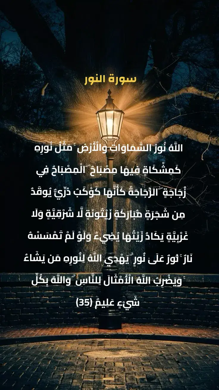#سورة_النور #الله_نور_السماوات_والأرض #قران #quran #تلاوة_خاشعة 