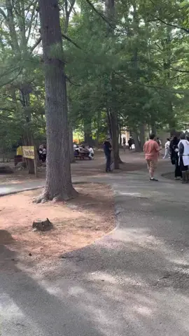 New York Renaissance Faire but make it ✨ Extra New Yawk ✨ #nyrenfaire #renfaire #renaissancefaire #quests #bronx