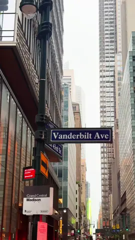 NYC #newyork #traveltiktok #newyorkcity 