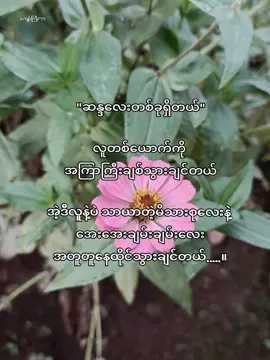 မင်းနဲ့ဆိုတဲ့ ဆန္ဒလေး