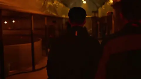 Waiting for S2…#KDRAMA #fyp #kdramaedit #kdrama #viral #netflix #كيدراما #foryoupage #bloodhounds #bloodhound #woodohwan #serie 