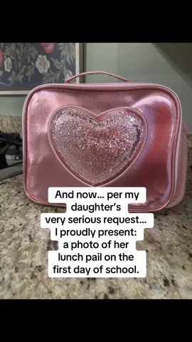 Lunch pail chronicles… #kindergarten #kids #lunch #school #parentsoftiktok 
