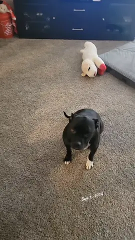 #pleasegoviral #fypシ #fypシ゚viral #fyp #fypシ゚viral🖤tiktok 