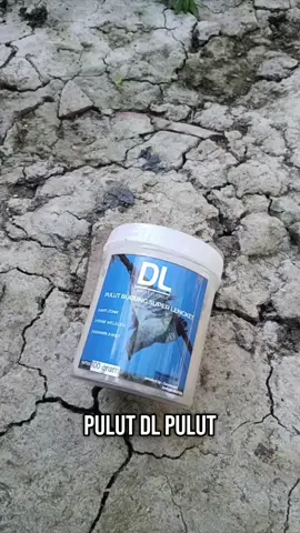 PULUT BURUNG DL SUPER LENGKET #pulutdl #pulutdloriginal #pulutdlputih #pulutdlsuperlengket #cuantanpabatas 