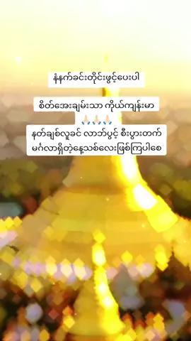 #Morning par 🙂❣️#မဂ်လာရှိသောနေ့လေးဖြစ်ပါစေ🙏🙏🙏🌷#foryoupage❤️❤️ #မင်းတို့ပေးမှ❤ရမဲ့သူပါ🥺🥺 #fyppppppppppppppppppppppp 