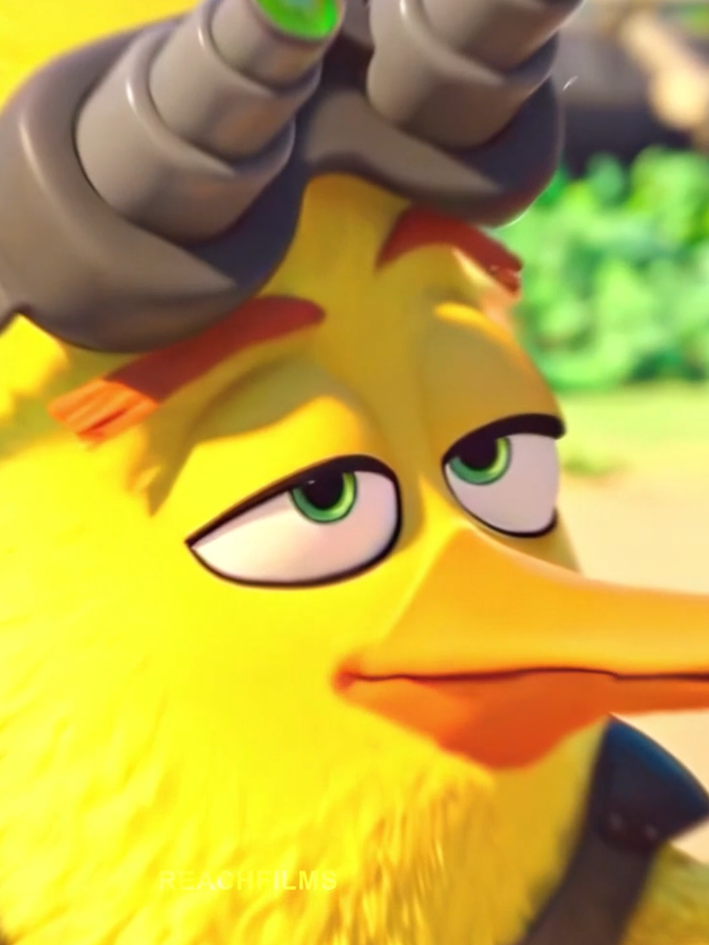Chuck tem a velocidade do Flash e Mercúrio 🔥☠️ Song: DANSA DANSA - SLOWED #angrybirds #chuck #cartoon #edit #fyp 