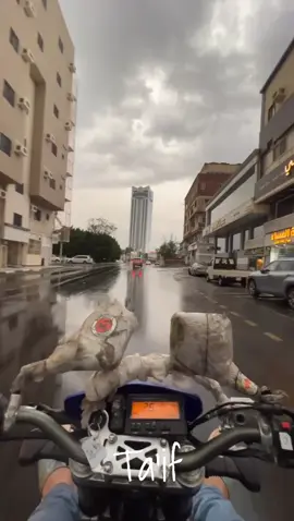 #fyyyyyyyyyyyyyyyy #ديار #taif 