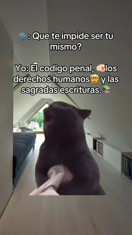 🙂‍↕️ #parati #memecut #capcut #viral #cat 