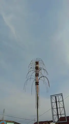 posisi di Lampung #mastritravel #Driverbaik #lammpungjabodetabek #travelTanggamuskotaagungwonosobosemaka #fypシ゚ 