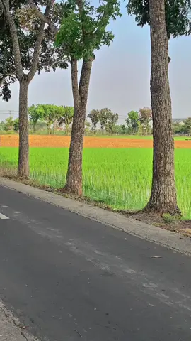 aduhhh🫦#berandatiktok #vixionssstyle #xybca #fyp #foryoupage 