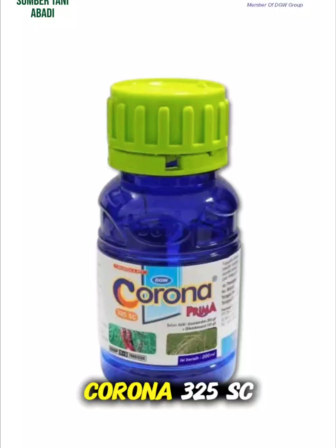 Corona 325 SC 250 ml adalah fungisida sistemik unggulan yang bersifat preventif dan kuratif, berbentuk pekatan suspensi berwarna putih krem. Cocok untuk mengendalikan berbagai penyakit pada tanaman bawang merah, mangga, jagung, cabai, dan padi. Produk ini mengandung 2 bahan aktif langka, yaitu Difenokonazol dan Azoxistrobin, yang bekerja efektif menumpas jamur pada daun, batang, akar, hingga bulir atau buah. Selain itu, Corona 325 SC dilengkapi Zat Pengatur Tumbuh (ZPT) yang mampu membuat daun tetap hijau, meningkatkan jumlah anakan, serta menambah bobot hasil panen. ✨ Keunggulan Corona 325 SC: Sistemik, melindungi seluruh bagian tanaman Spektrum pengendalian luas Ekonomis dengan dosis rendah Tidak tercuci hujan karena cepat meresap Memiliki Fitotonic Effect sehingga tanaman lebih sehat dan tahan penyakit 🌾 Petunjuk penggunaan (dosis 2 ml/l, penyemprotan diulang tiap 7 hari): Bawang Merah: Bercak Ungu (Alternaria porri) Jagung: Bulai (Peronosclerospora maydis) Cabai: Antraknosa (Colletotrichum capsici) Padi: Bercak coklat sempit & Blast (Cercospora janseana, Pyricularia oryzae) Dengan Corona 325 SC, panen lebih maksimal dan tanaman tetap sehat sepanjang musim 🌿 #Fungisida #Corona325SC #PertanianIndonesia #ObatPadi #ObatCabai #ObatJagung #ObatBawangMerah #ObatMangga #FungisidaSistemik #AntiJamur #ZPT #PanenMaksimal #TaniSukses #PertanianModern