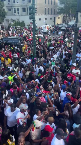 LABORDAY 2025 🇭🇹🇭🇹🇭🇹🇭🇹 #tvice #vice2k #laborday #fyp #labordayweekend #haitian #kanaval #caribbeantiktok #nyc #haitiantiktok #easternparkway #brooklyn 
