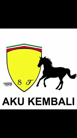 merah kalah, biru artinya apa??🫢#formula1 #charlesleclerc #lewishamilton #scuderiaferrari #fyp 