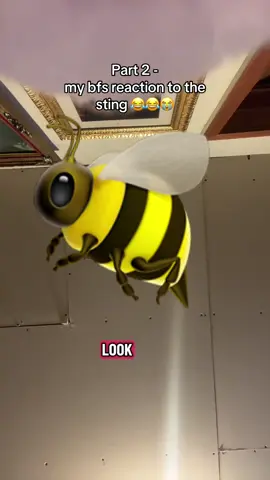 PART 2😂😂😂😂😭😭😭😭😭 it was a 20 minute video 😂#blowthisup #viral #bee #crazystory #storytime 
