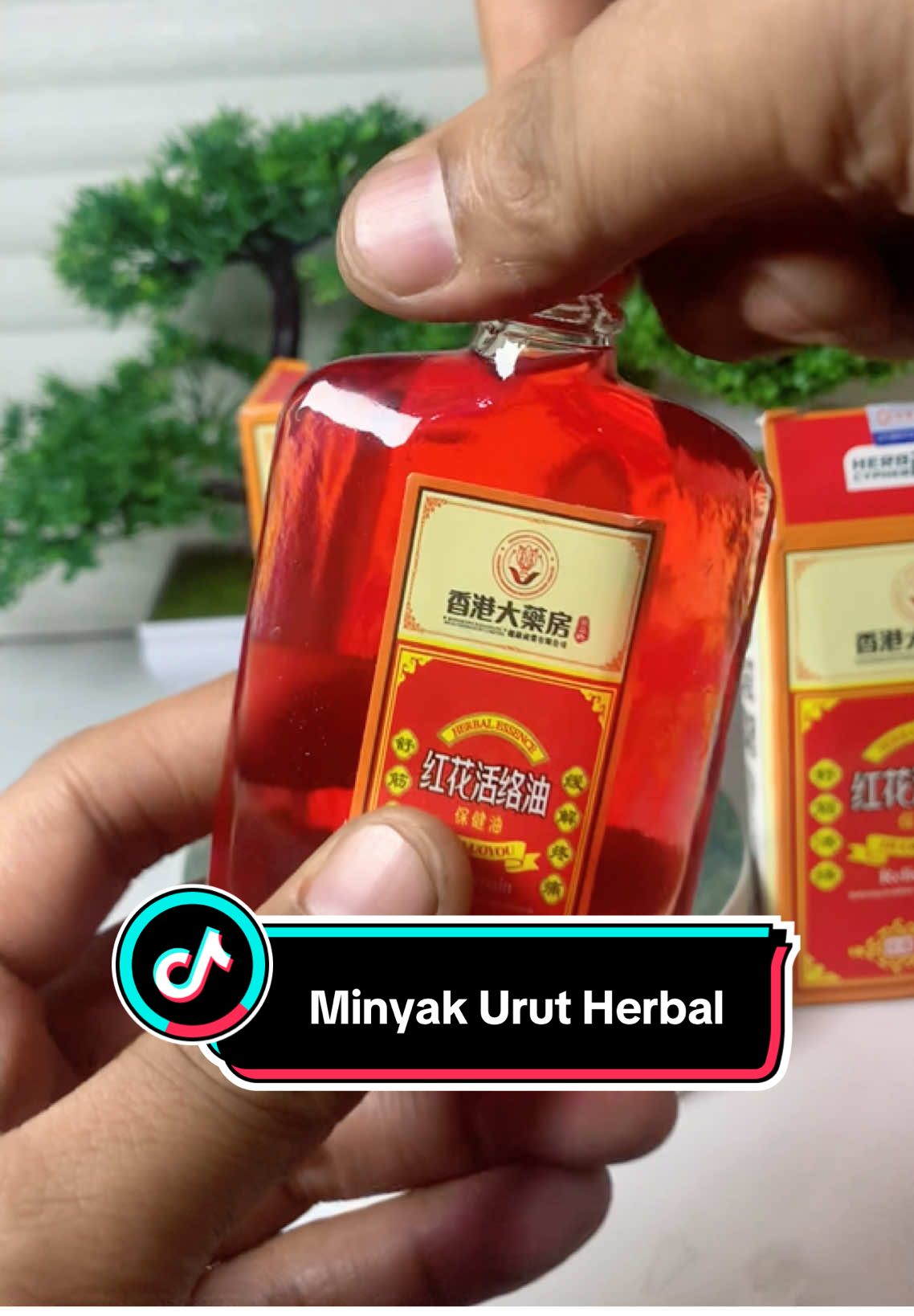Minyak Urut Herbal Sendi & asam urat nih,yuk buruan di gercepin #minyakurutherbal #minyakurut #minyakasamurat #asamurat #minyakherbal 
